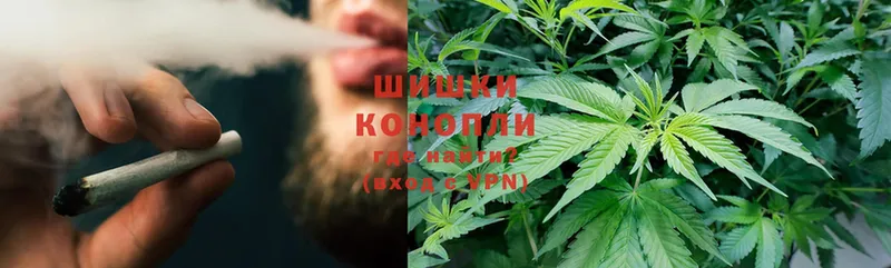 Канабис White Widow  MEGA маркетплейс  Новозыбков  сколько стоит 